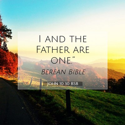 Picture 07 - John 10:30 BSB - I and the Father are - Bible Verse Picture
