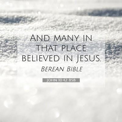 Picture 07 - John 10:42 BSB - And many in that place believed in - Bible Verse Picture