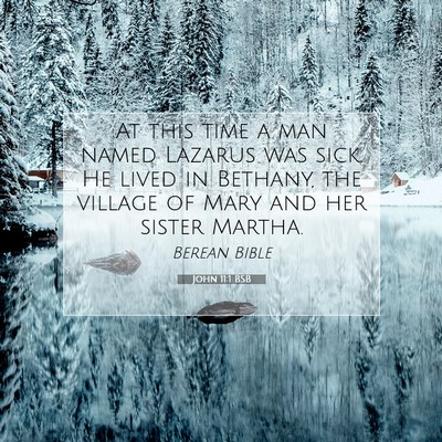 Picture 07 - John 11:1 BSB - At this time a man named Lazarus was sick. He - Bible Verse Picture