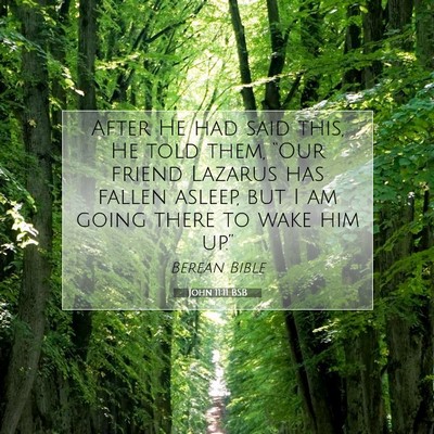 Picture 07 - John 11:11 BSB - After He had said this, He told them, “Our - Bible Verse Picture
