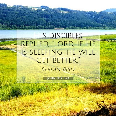 Picture 07 - John 11:12 BSB - His disciples replied, “Lord, if he is - Bible Verse Picture