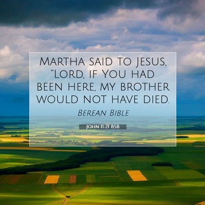 Picture 07 - John 11:21 BSB - Martha said to Jesus, “Lord, if You had been - Bible Verse Picture