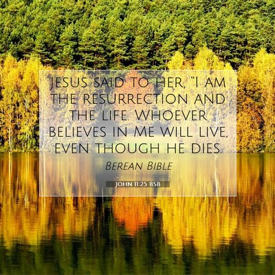Picture 07 - John 11:25 BSB - Jesus said to her, “I am the resurrection and - Bible Verse Picture