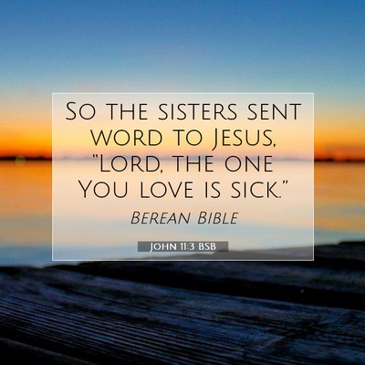 Picture 07 - John 11:3 BSB - So the sisters sent word to Jesus, “Lord, the - Bible Verse Picture