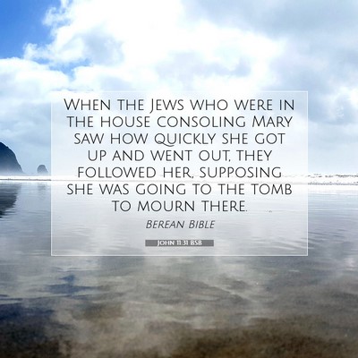 Picture 07 - John 11:31 BSB - When the Jews who were in the house consoling - Bible Verse Picture
