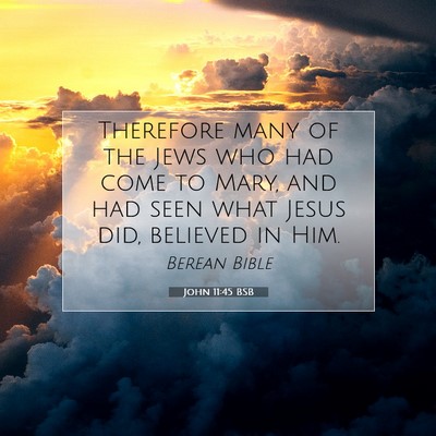 Picture 07 - John 11:45 BSB - Therefore many of the Jews who had come to Mary, - Bible Verse Picture