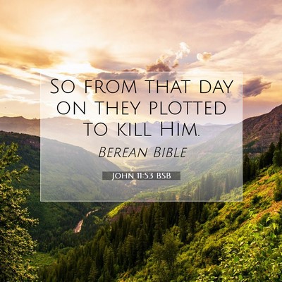 Picture 07 - John 11:53 BSB - So from that day on they plotted to kill - Bible Verse Picture