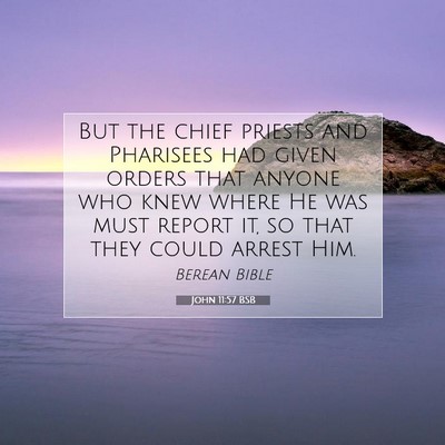 Picture 07 - John 11:57 BSB - But the chief priests and Pharisees had given - Bible Verse Picture