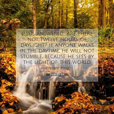 Picture 07 - John 11:9 BSB - Jesus answered, “Are there not twelve hours of - Bible Verse Picture