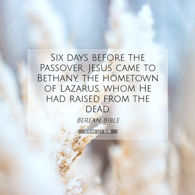 Picture 07 - John 12:1 BSB - Six days before the Passover, Jesus came to - Bible Verse Picture