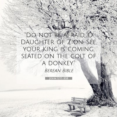 Picture 07 - John 12:15 BSB - “Do not be afraid, O Daughter of Zion. See, - Bible Verse Picture