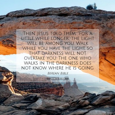 Picture 07 - John 12:35 BSB - Then Jesus told them, “For a little while - Bible Verse Picture