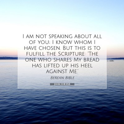 Picture 07 - John 13:18 BSB - I am not speaking about all of you; I know whom I - Bible Verse Picture