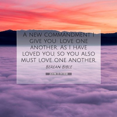 Picture 07 - John 13:34 BSB - A new commandment I give you: Love one another. - Bible Verse Picture