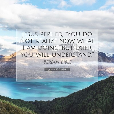 Picture 07 - John 13:7 BSB - Jesus replied, “You do not realize now what I - Bible Verse Picture