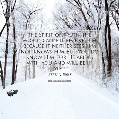 Picture 07 - John 14:17 BSB - the Spirit of truth. The world cannot receive - Bible Verse Picture