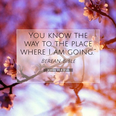 Picture 07 - John 14:4 BSB - You know the way to the place where I am - Bible Verse Picture