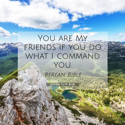 Picture 07 - John 15:14 BSB - You are My friends if you do what I command - Bible Verse Picture