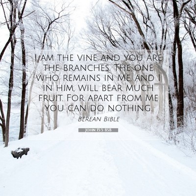 Picture 07 - John 15:5 BSB - I am the vine and you are the branches. The one - Bible Verse Picture
