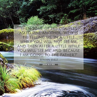 Picture 07 - John 16:17 BSB - Then some of His disciples asked one another, - Bible Verse Picture