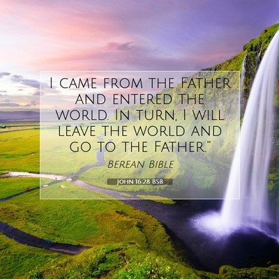 Picture 07 - John 16:28 BSB - I came from the Father and entered the world. In - Bible Verse Picture