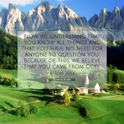 Picture 07 - John 16:30 BSB - Now we understand that You know all things and - Bible Verse Picture