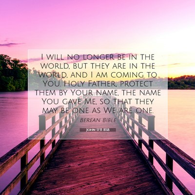 Picture 07 - John 17:11 BSB - I will no longer be in the world, but they are in - Bible Verse Picture
