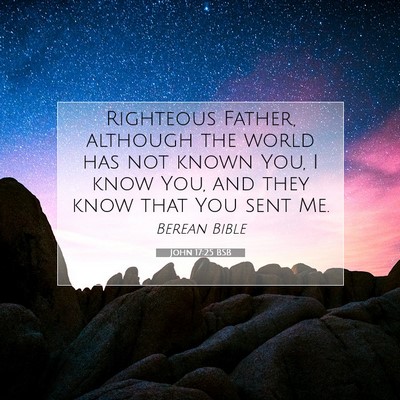 Picture 07 - John 17:25 BSB - Righteous Father, although the world has not - Bible Verse Picture