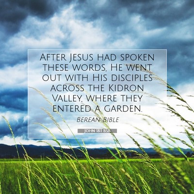 Picture 07 - John 18:1 BSB - After Jesus had spoken these words, He went out - Bible Verse Picture