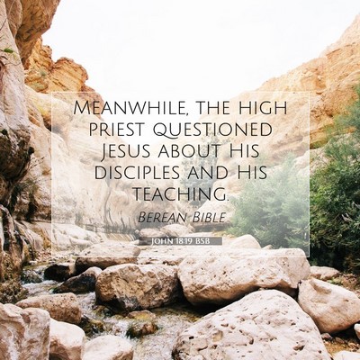 Picture 07 - John 18:19 BSB - Meanwhile, the high priest questioned Jesus about - Bible Verse Picture