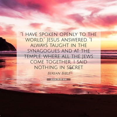 Picture 07 - John 18:20 BSB - “I have spoken openly to the world,” Jesus - Bible Verse Picture