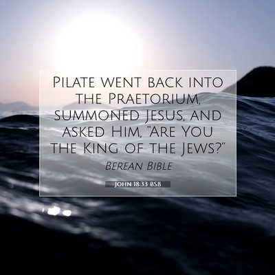 Picture 07 - John 18:33 BSB - Pilate went back into the Praetorium, summoned - Bible Verse Picture