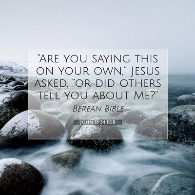 Picture 07 - John 18:34 BSB - “Are you saying this on your own,” Jesus - Bible Verse Picture