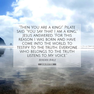Picture 07 - John 18:37 BSB - “Then You are a king!” Pilate said. “You - Bible Verse Picture