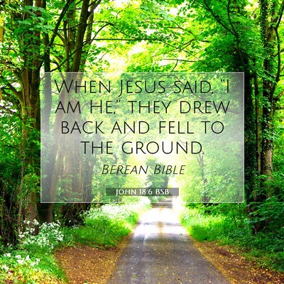 Picture 07 - John 18:6 BSB - When Jesus said, “I am He,” they drew back - Bible Verse Picture
