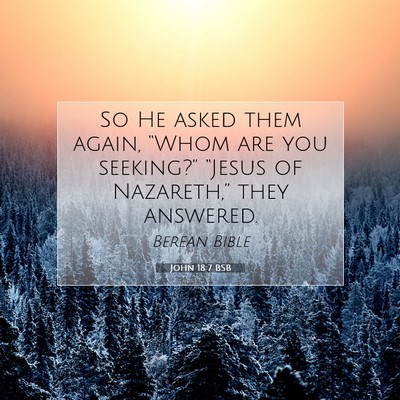 Picture 07 - John 18:7 BSB - So He asked them again, “Whom are you - Bible Verse Picture