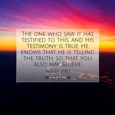 Picture 07 - John 19:35 BSB - The one who saw it has testified to this, and his - Bible Verse Picture