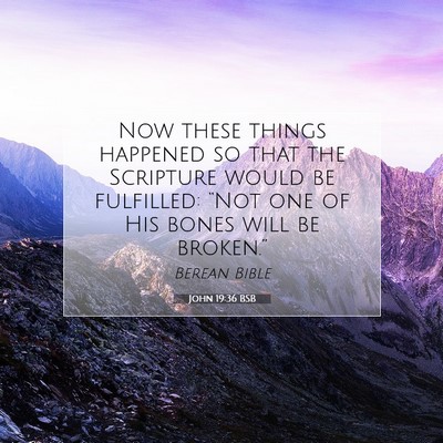 Picture 07 - John 19:36 BSB - Now these things happened so that the Scripture - Bible Verse Picture