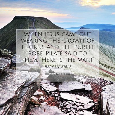 Picture 07 - John 19:5 BSB - When Jesus came out wearing the crown of thorns - Bible Verse Picture