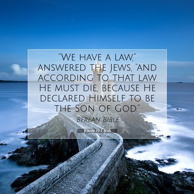 Picture 07 - John 19:7 BSB - “We have a law,” answered the Jews, “and - Bible Verse Picture