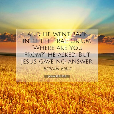 Picture 07 - John 19:9 BSB - and he went back into the Praetorium. “Where - Bible Verse Picture