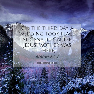 Picture 07 - John 2:1 BSB - On the third day a wedding took place at Cana in - Bible Verse Picture
