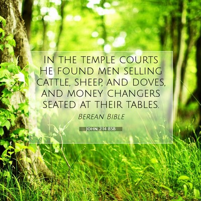 Picture 07 - John 2:14 BSB - In the temple courts He found men selling cattle, - Bible Verse Picture