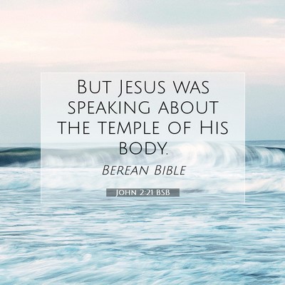 Picture 07 - John 2:21 BSB - But Jesus was speaking about the temple of His - Bible Verse Picture