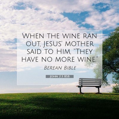 Picture 07 - John 2:3 BSB - When the wine ran out, Jesus’ mother said to - Bible Verse Picture