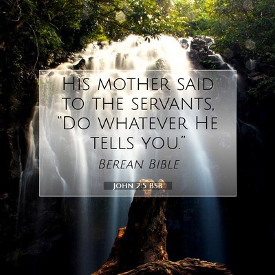 Picture 07 - John 2:5 BSB - His mother said to the servants, “Do whatever - Bible Verse Picture