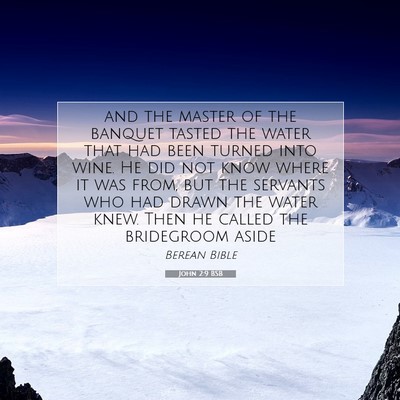 Picture 07 - John 2:9 BSB - and the master of the banquet tasted the water - Bible Verse Picture