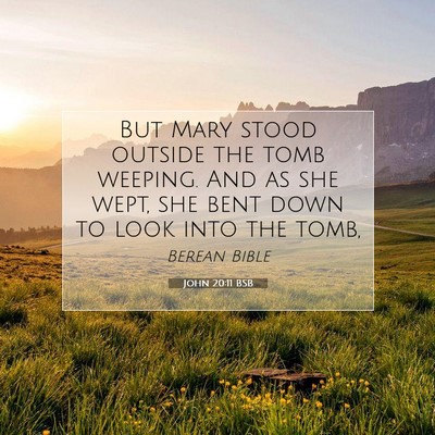 Picture 07 - John 20:11 BSB - But Mary stood outside the tomb weeping. And as - Bible Verse Picture