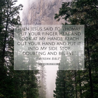 Picture 07 - John 20:27 BSB - Then Jesus said to Thomas, “Put your finger - Bible Verse Picture