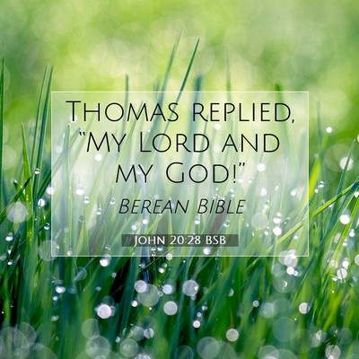 Picture 07 - John 20:28 BSB - Thomas replied, “My Lord and my - Bible Verse Picture
